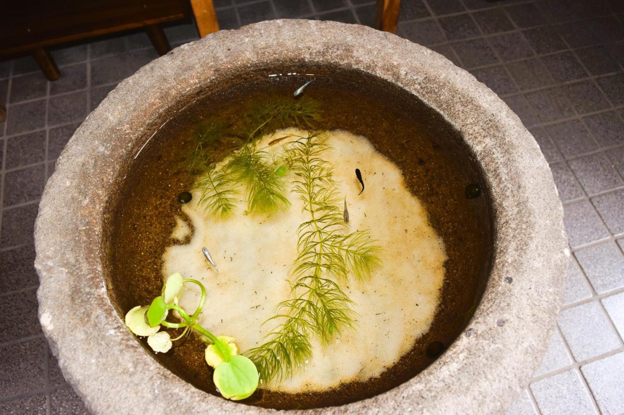 高山Atagoya别墅 外观 照片